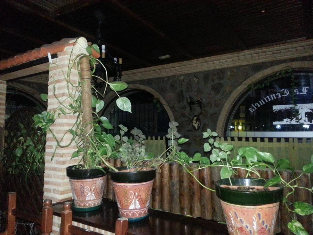 Posada De Los Consules Консуэгра Экстерьер фото